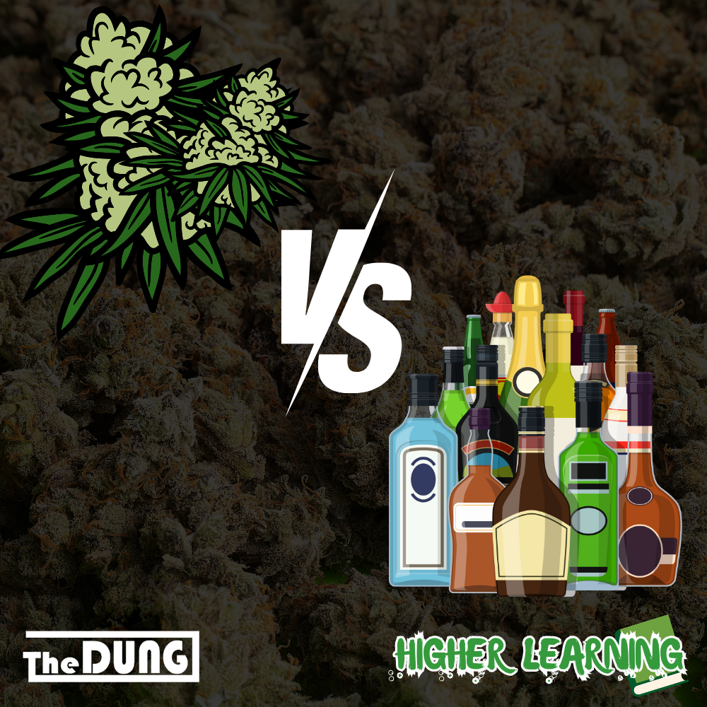 A Sobering Comparison: Cannabis and Alcohol – Exploring the Highs and Lows