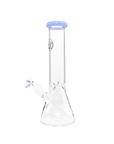 Chronical Large